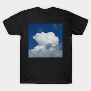 Cumulus T-Shirt